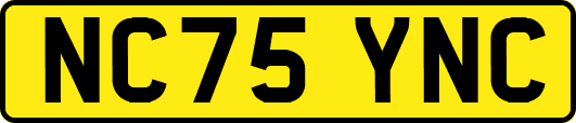 NC75YNC