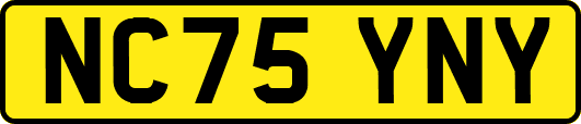 NC75YNY