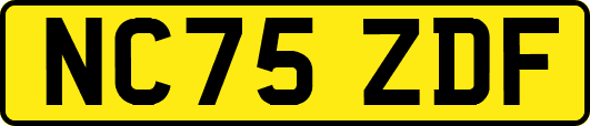 NC75ZDF