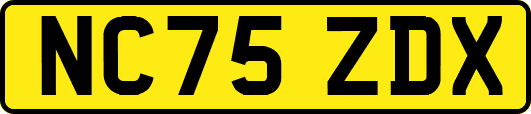 NC75ZDX