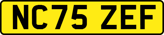 NC75ZEF