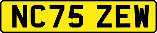 NC75ZEW