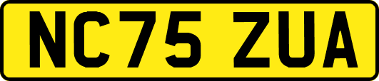 NC75ZUA