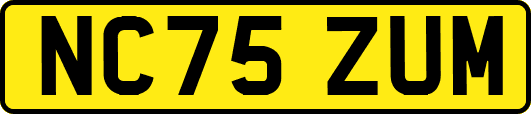NC75ZUM