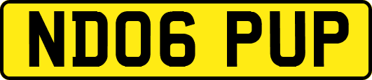 ND06PUP