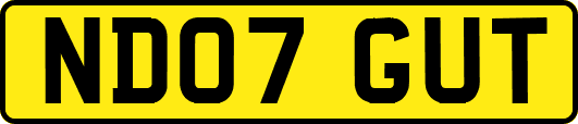 ND07GUT
