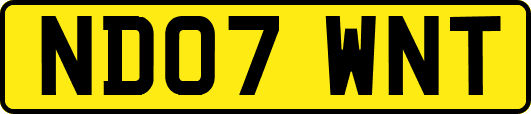 ND07WNT