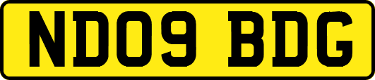 ND09BDG