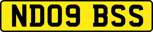 ND09BSS