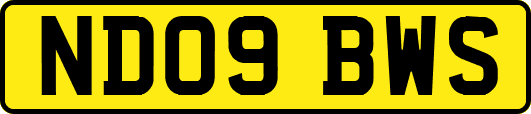 ND09BWS