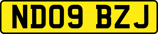 ND09BZJ