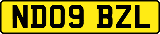 ND09BZL