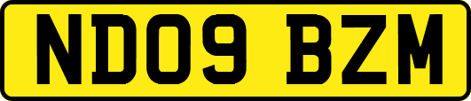 ND09BZM