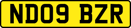 ND09BZR