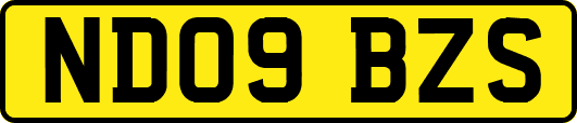 ND09BZS