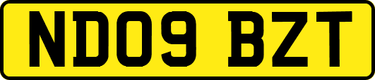 ND09BZT