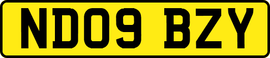 ND09BZY