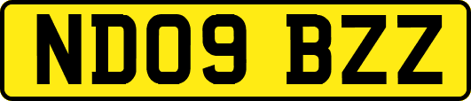ND09BZZ