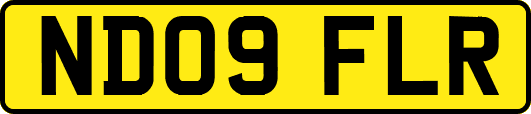ND09FLR