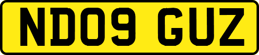 ND09GUZ