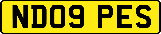 ND09PES