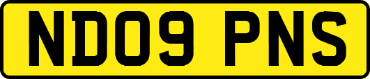 ND09PNS