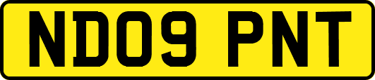 ND09PNT