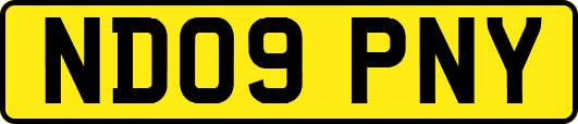 ND09PNY