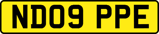 ND09PPE
