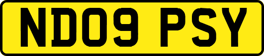 ND09PSY