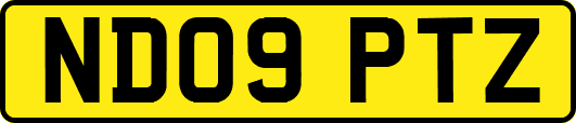 ND09PTZ