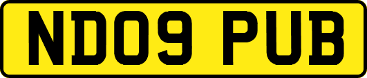 ND09PUB