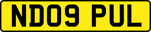 ND09PUL