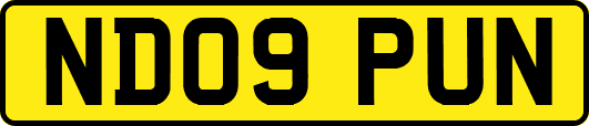 ND09PUN