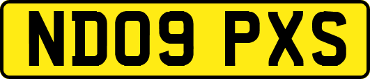 ND09PXS