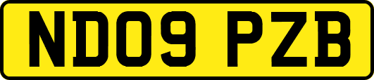 ND09PZB