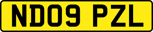 ND09PZL