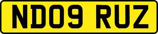 ND09RUZ
