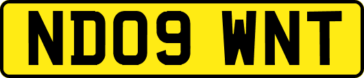 ND09WNT