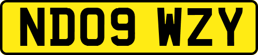ND09WZY
