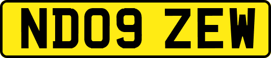 ND09ZEW