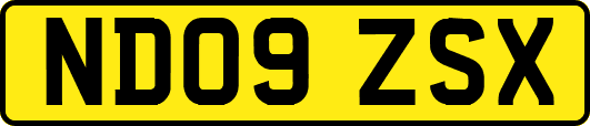ND09ZSX