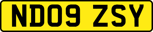 ND09ZSY