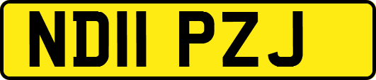 ND11PZJ
