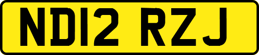 ND12RZJ