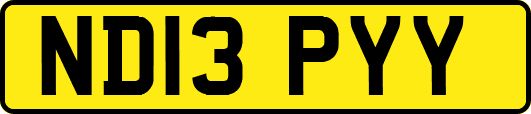 ND13PYY