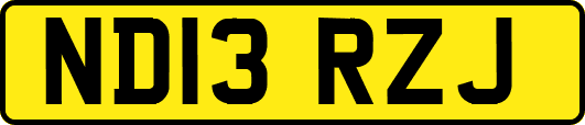 ND13RZJ