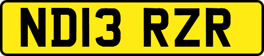 ND13RZR