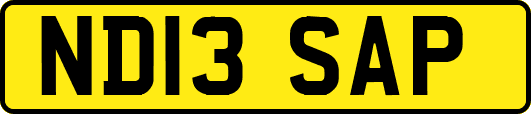 ND13SAP