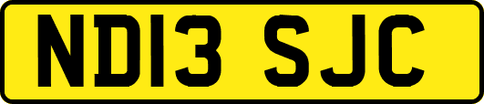 ND13SJC